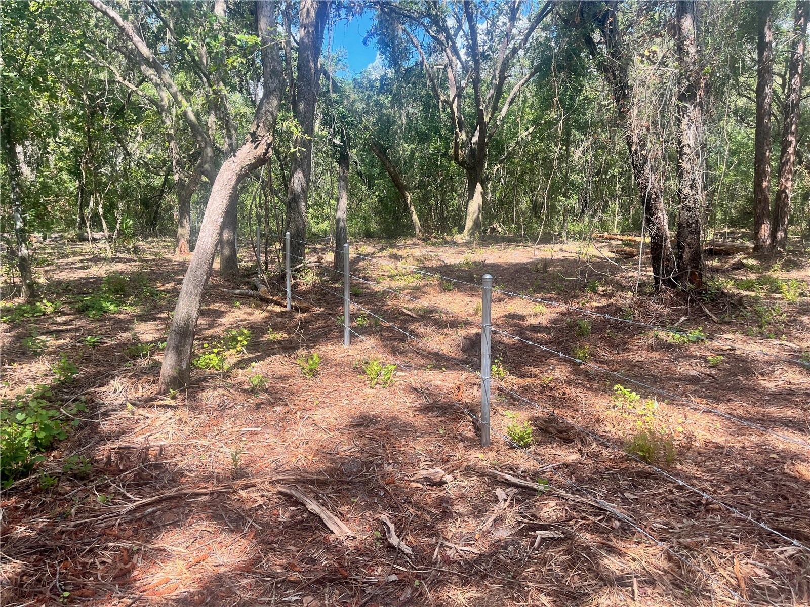 2 Sendcastle Drive Groveland FL 34736 TB8418355 image34