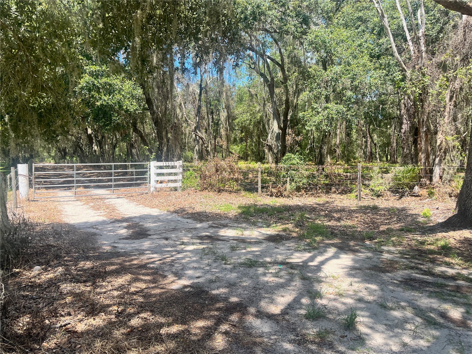 2 Sendcastle Drive Groveland FL 34736 TB8418355 image38