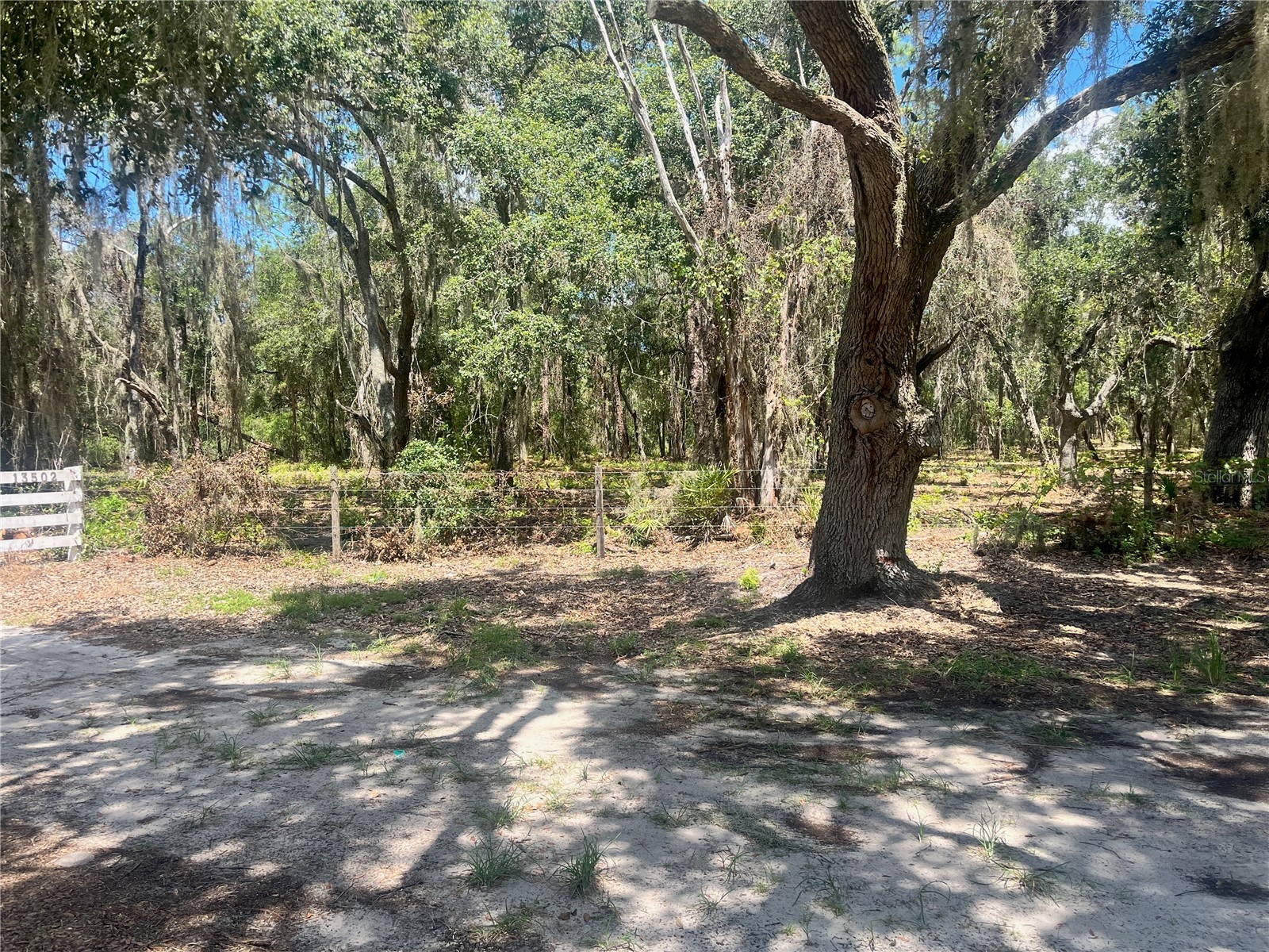 2 Sendcastle Drive Groveland FL 34736 TB8418355 image39