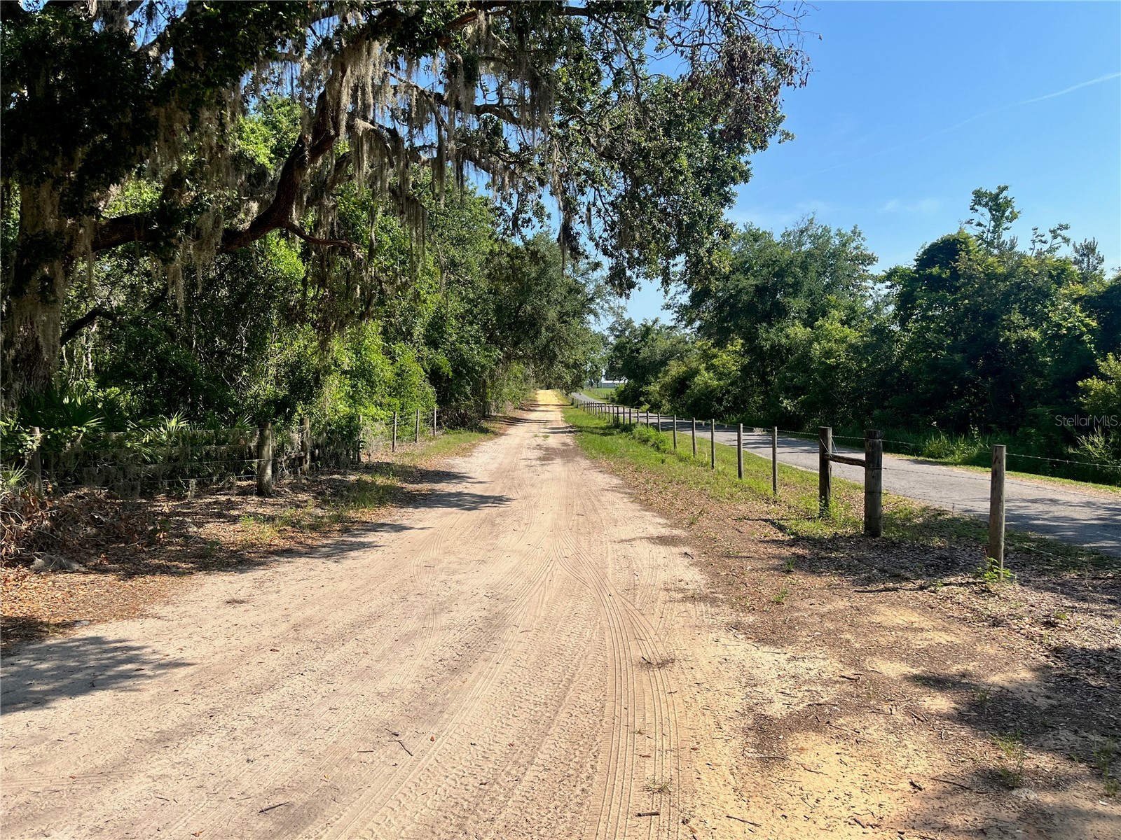 2 Sendcastle Drive Groveland FL 34736 TB8418355 image4