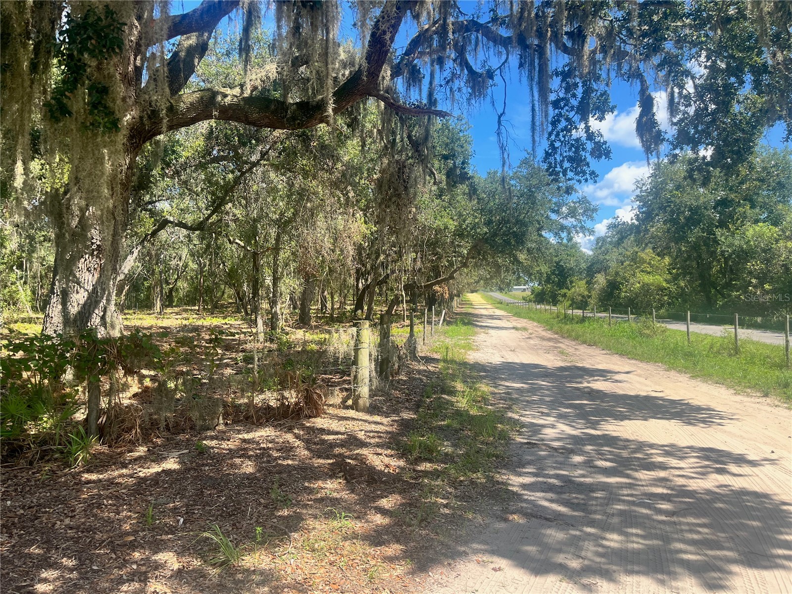 2 Sendcastle Drive Groveland FL 34736 TB8418355 image5