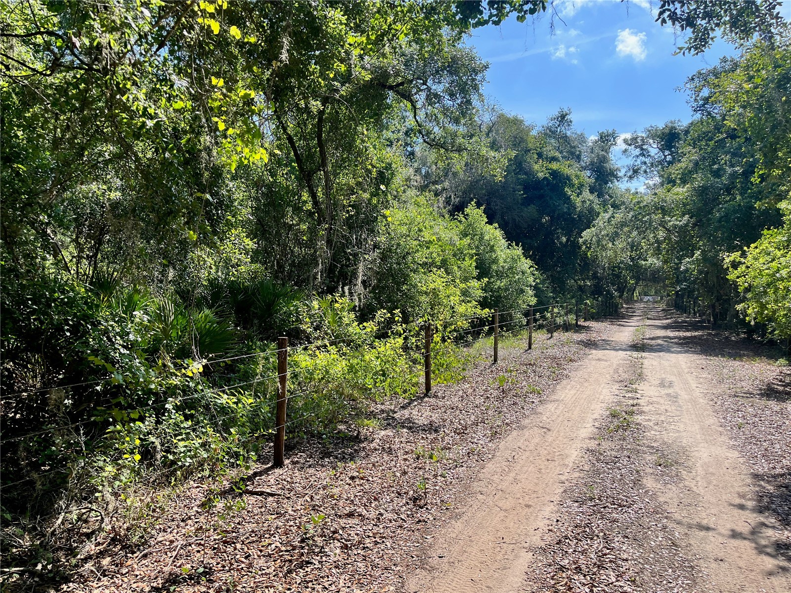 2 Sendcastle Drive Groveland FL 34736 TB8418355 image6