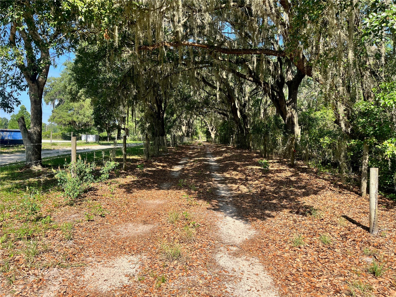 2 Sendcastle Drive Groveland FL 34736 TB8418355 image7