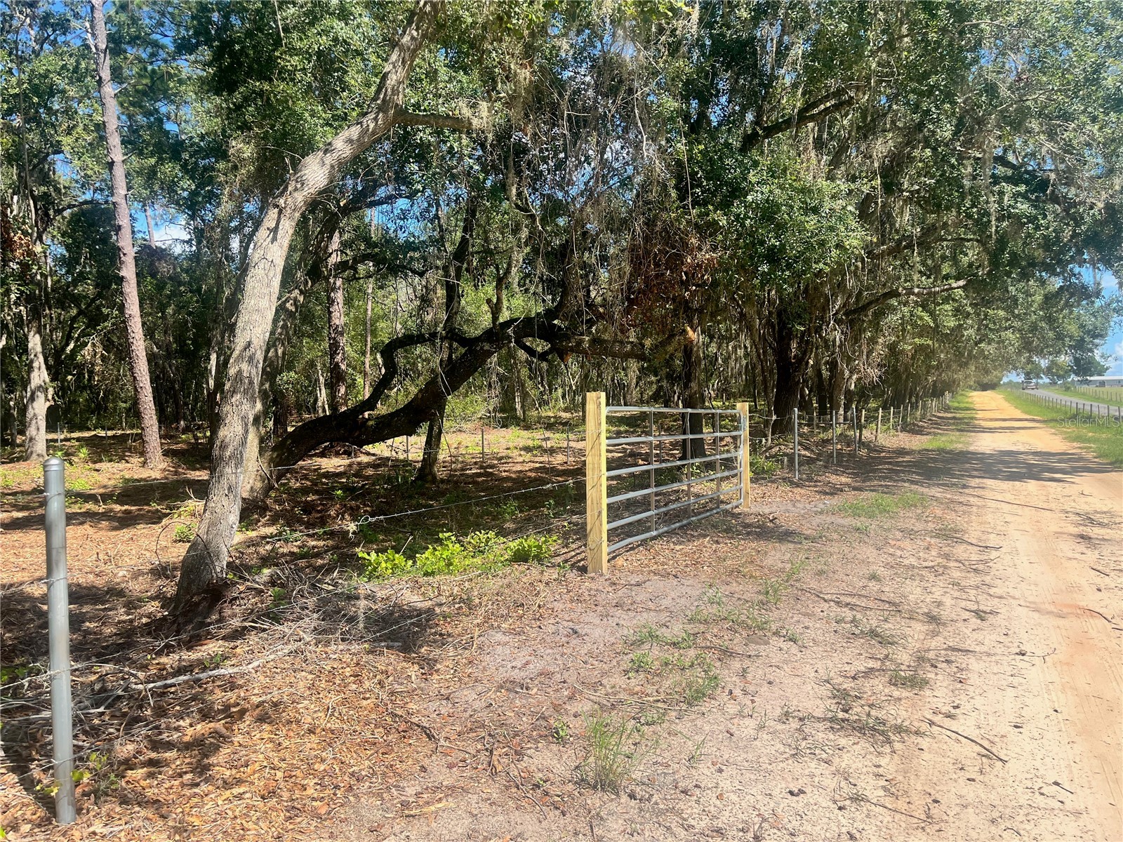 2 Sendcastle Drive Groveland FL 34736 TB8418355 image9