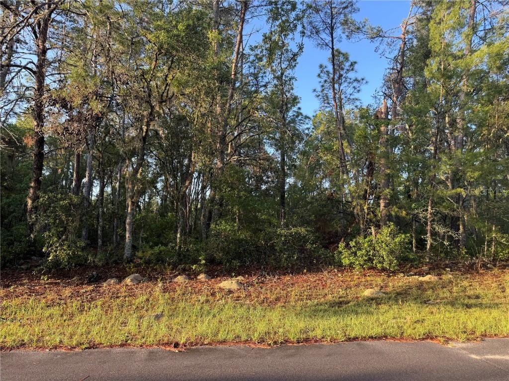 2 Sw 179th Place Ocala FL 34473 W7875194 image1