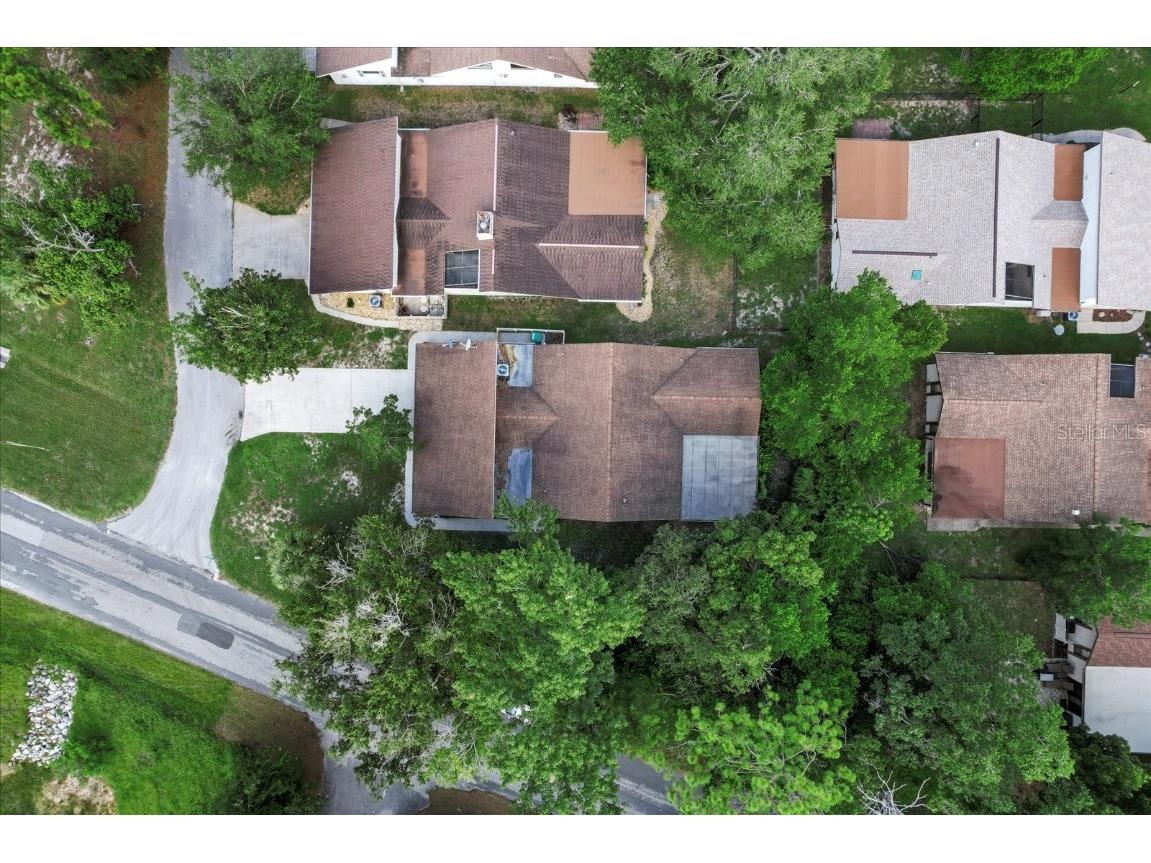 2 Woodmill Court Homosassa FL 34446 OM709433 image39