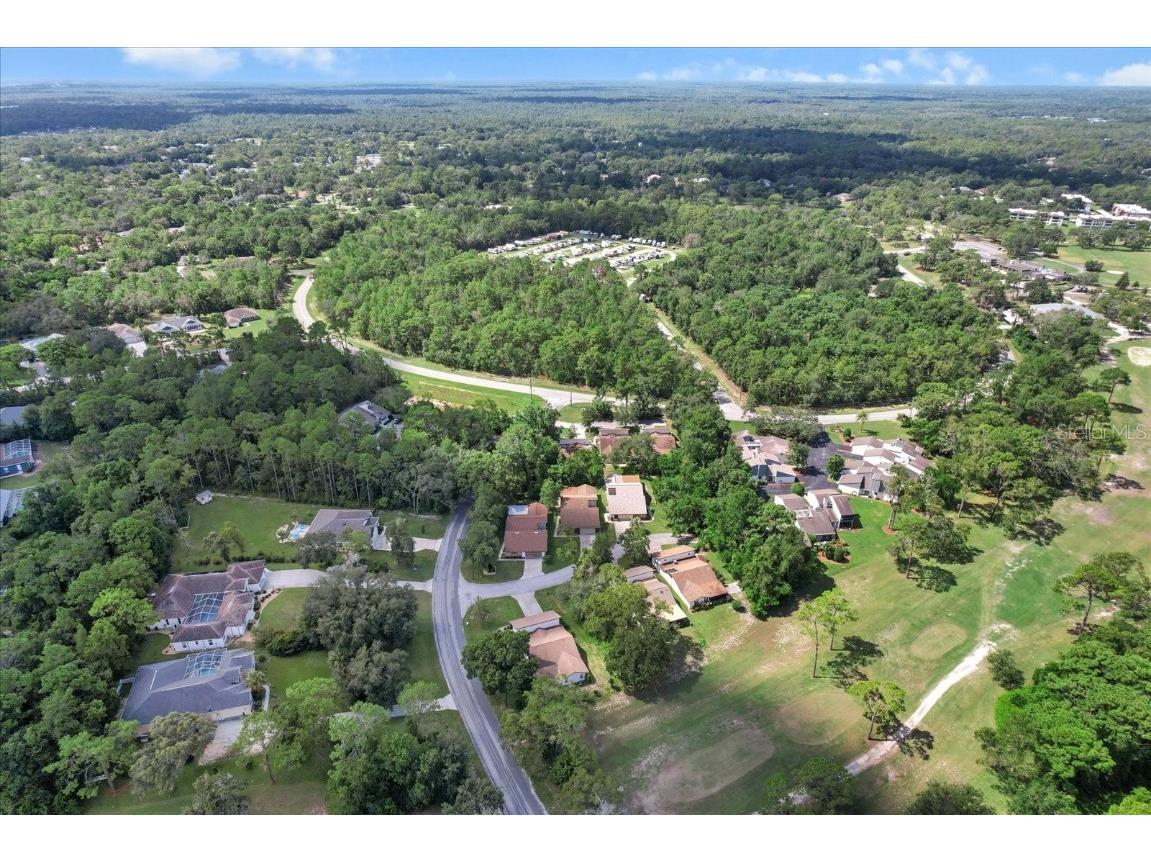 2 Woodmill Court Homosassa FL 34446 OM709433 image41