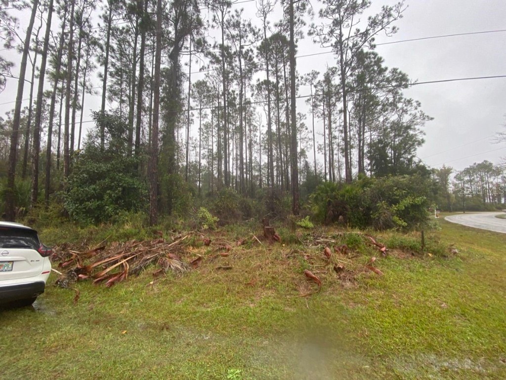 2 Zamia Place Palm Coast FL 32164 U8194494 image1