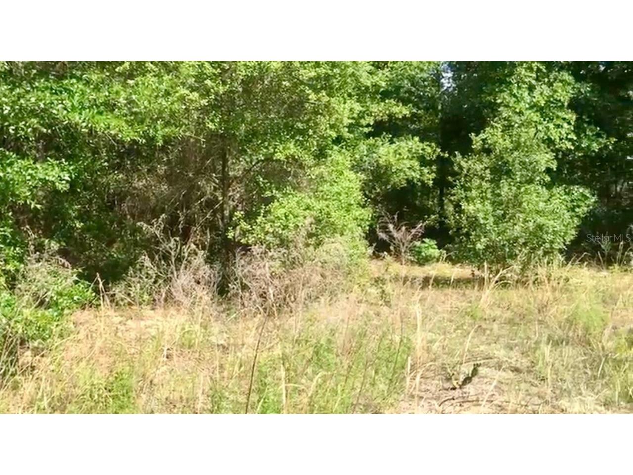 20 & 21 SW Azalea Dunnellon FL 34431 O6339459 image3