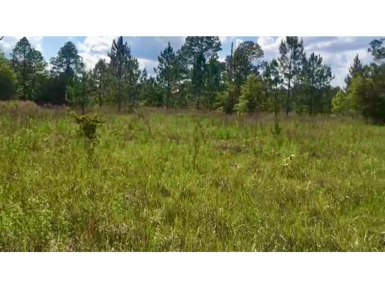 20 & 21 SW Azalea Dunnellon FL 34431 O6339459 image4