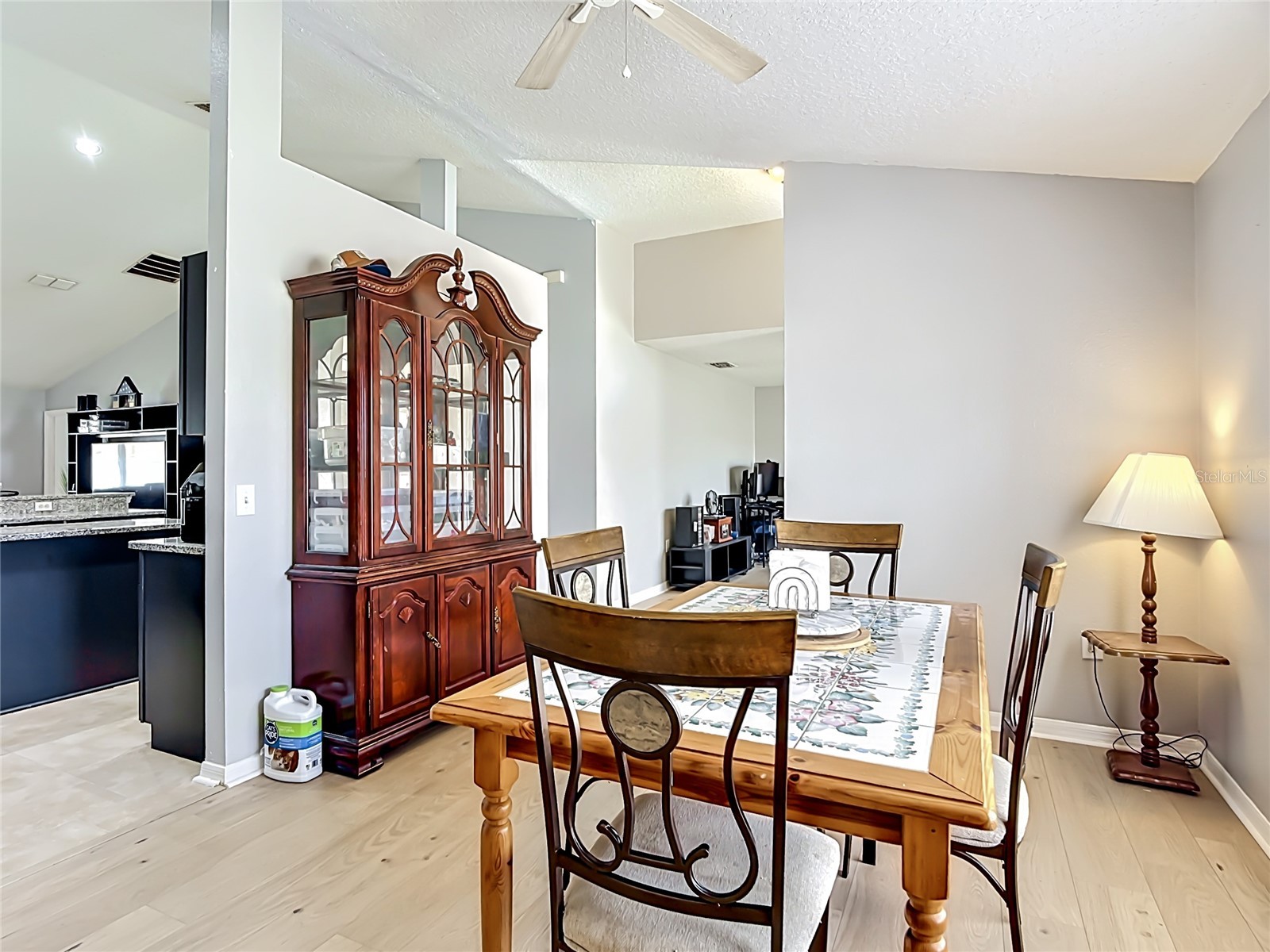 20 Andora Court Kissimmee FL 34758 O6403083 image13