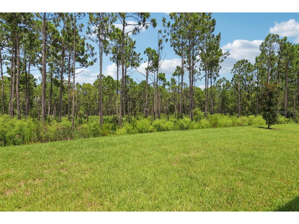 20 Ararat Drive Palm Coast FL 32137 O6313361 image36