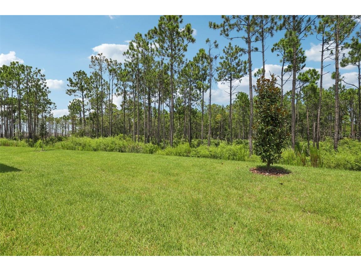 20 Ararat Drive Palm Coast FL 32137 O6313361 image40