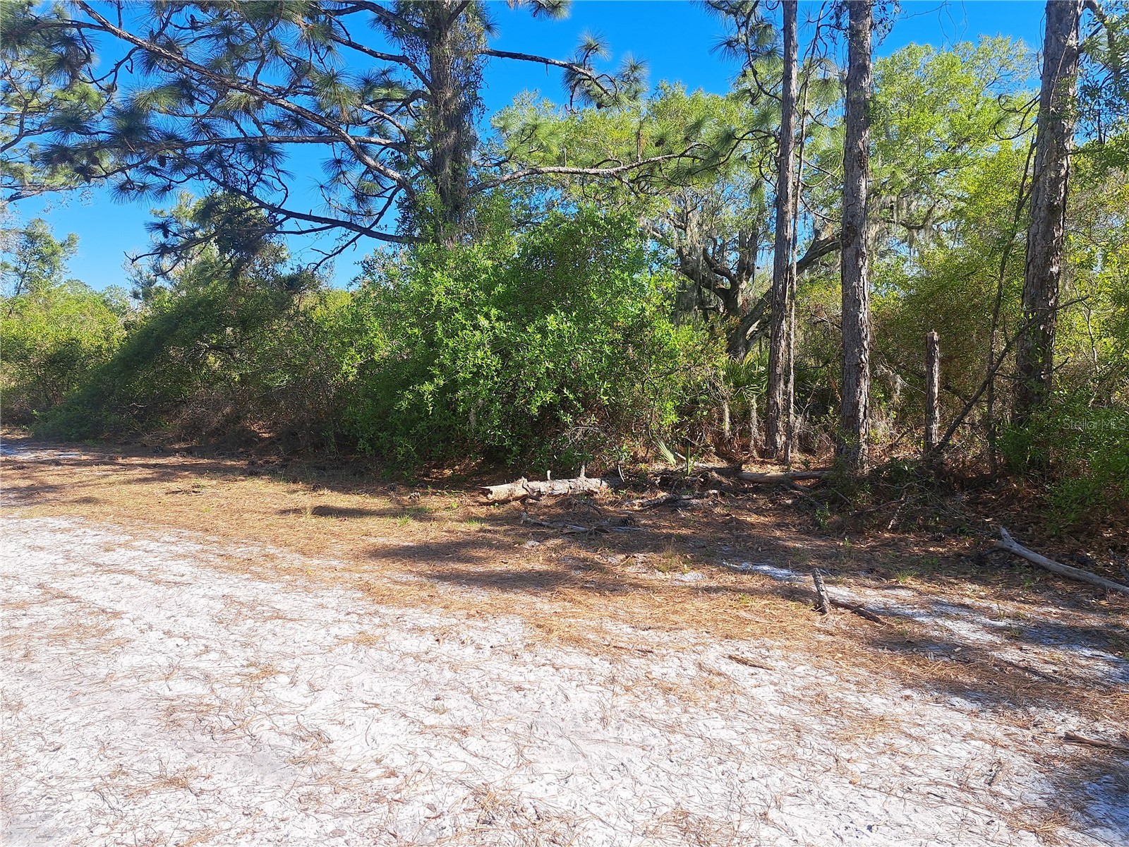 20 Avocado Drive Indian Lake Estates FL 33855 O6388362 image10