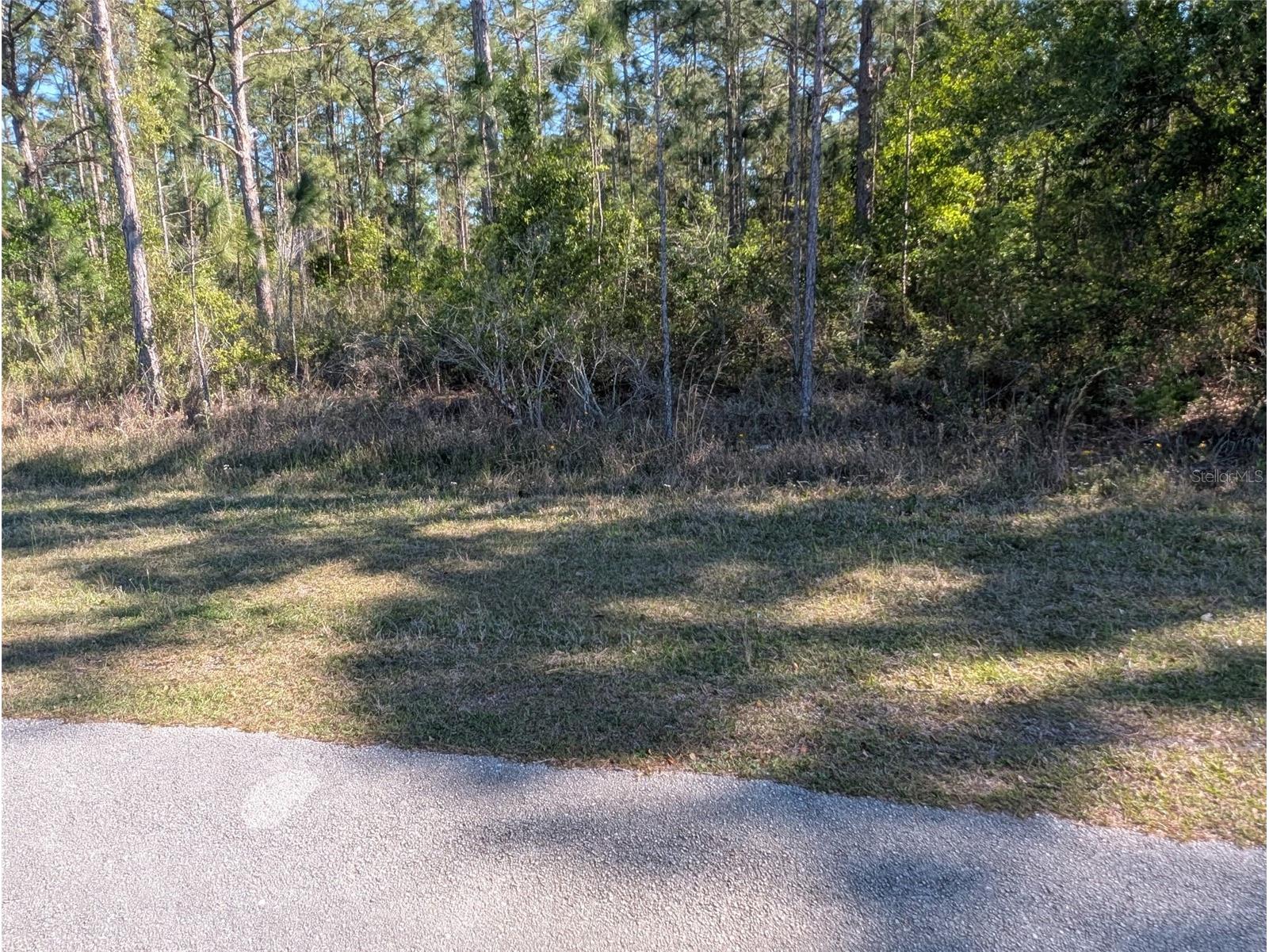 20 Avocado Drive Indian Lake Estates FL 33855 O6388362 image9