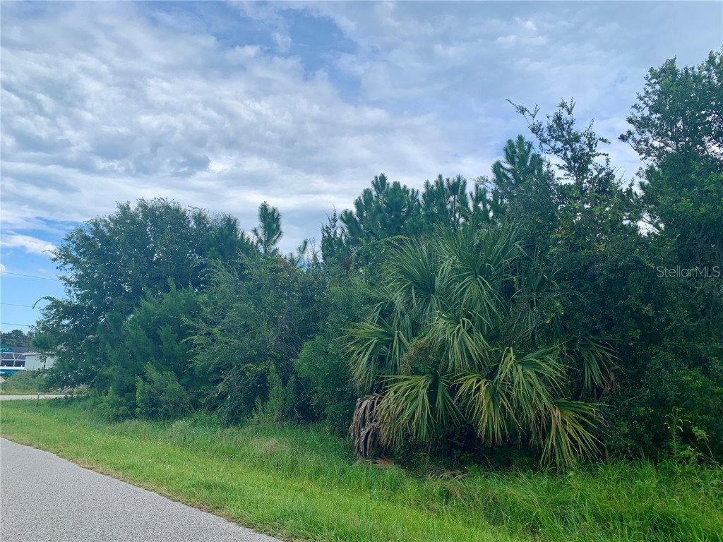20 Big Horn Drive Palm Coast FL 32137 FC294533 image1