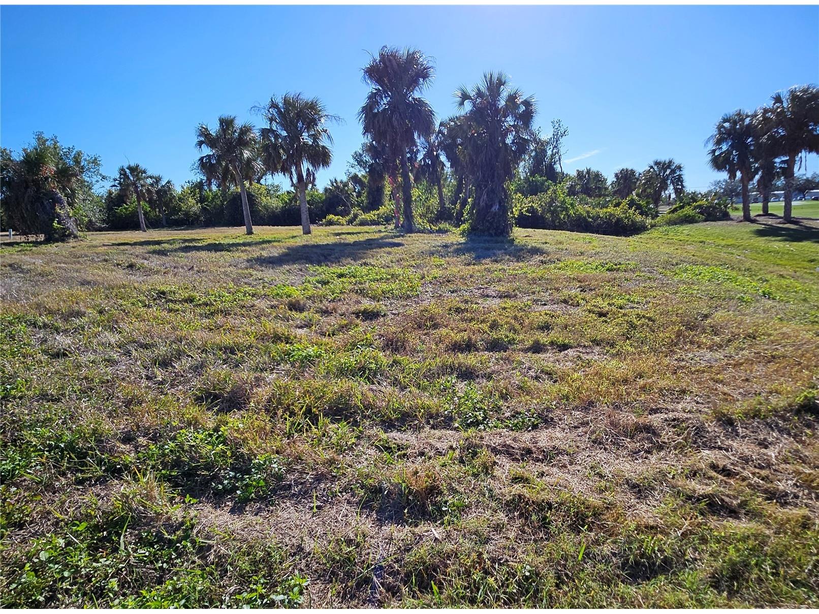 20 Clubhouse Court Rotonda West FL 33947 N6136638 image15