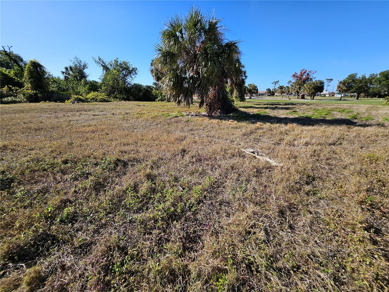 20 Clubhouse Court Rotonda West FL 33947 N6136638 image18