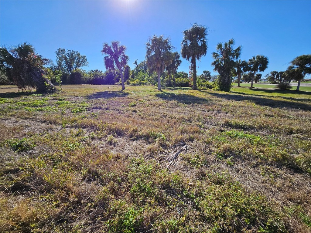 20 Clubhouse Court Rotonda West FL 33947 N6136638 image6