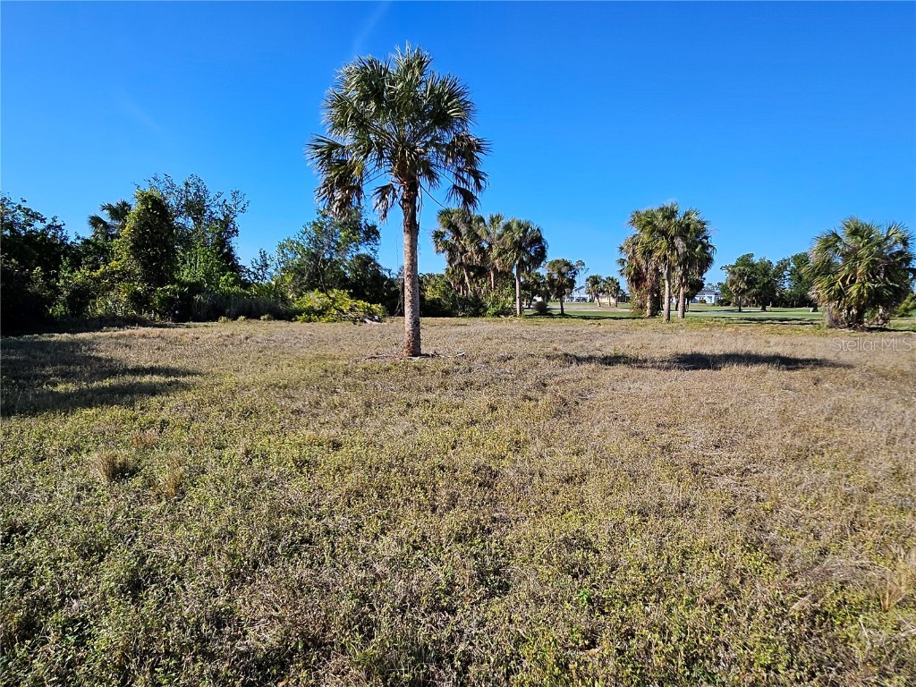 20 Clubhouse Court Rotonda West FL 33947 N6136638 image8