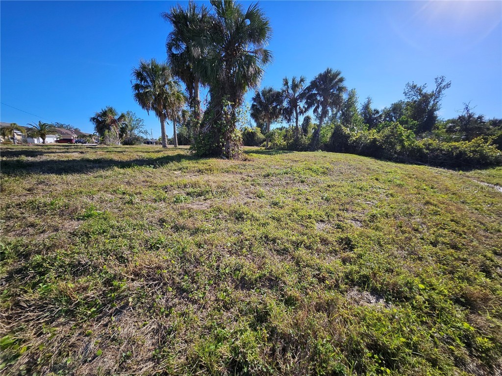 20 Clubhouse Court Rotonda West FL 33947 N6136638 image9