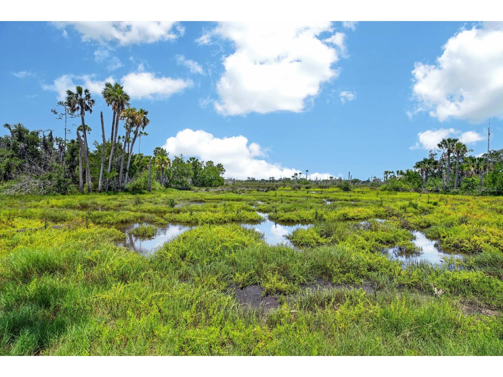 20 Covington Lane Palm Coast FL 32137 - LONG CREEK NATURE PRESERVE FC318943 image48