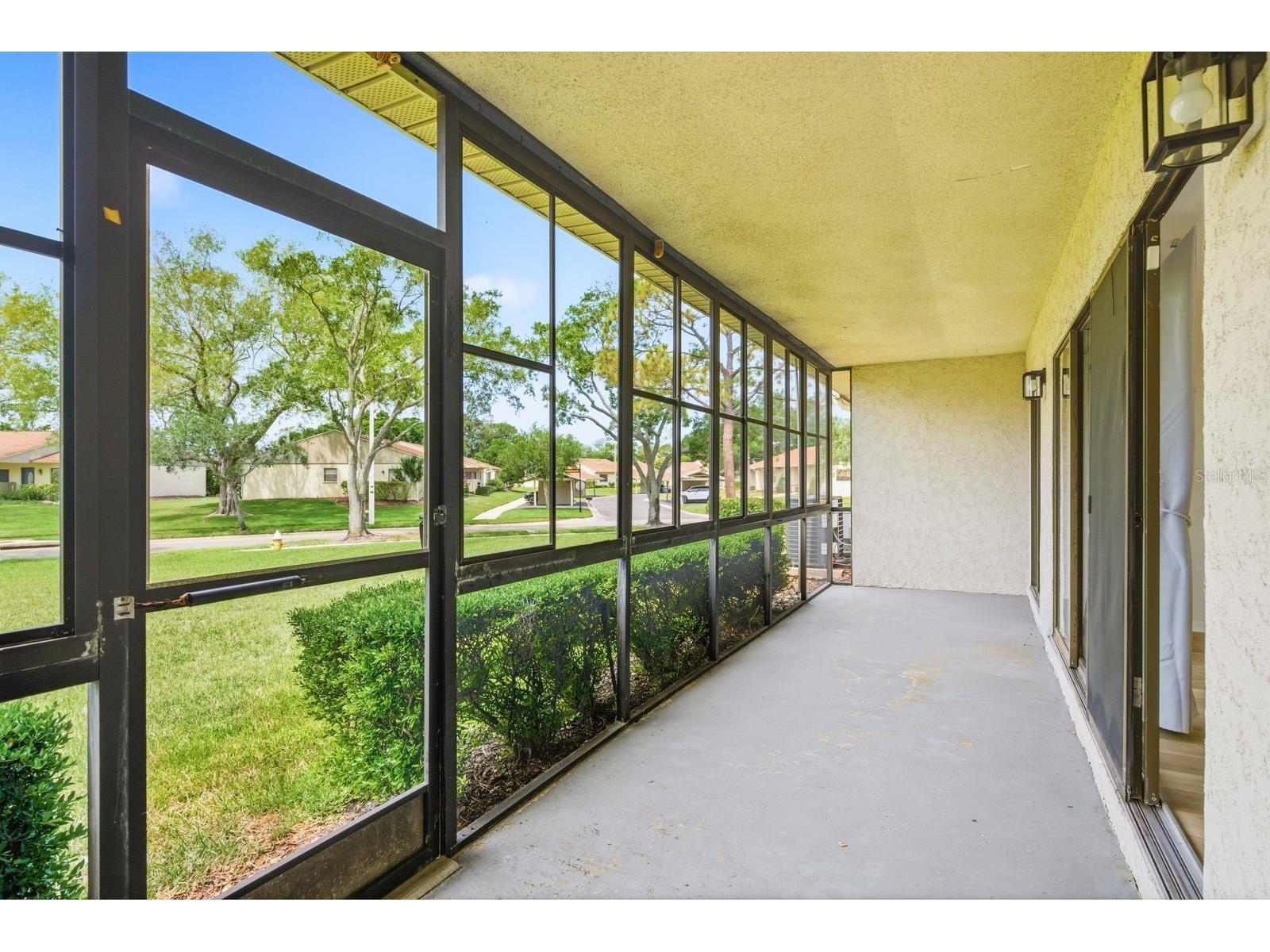20 Evelyn Court Oldsmar FL 34677 TB8508719 image38