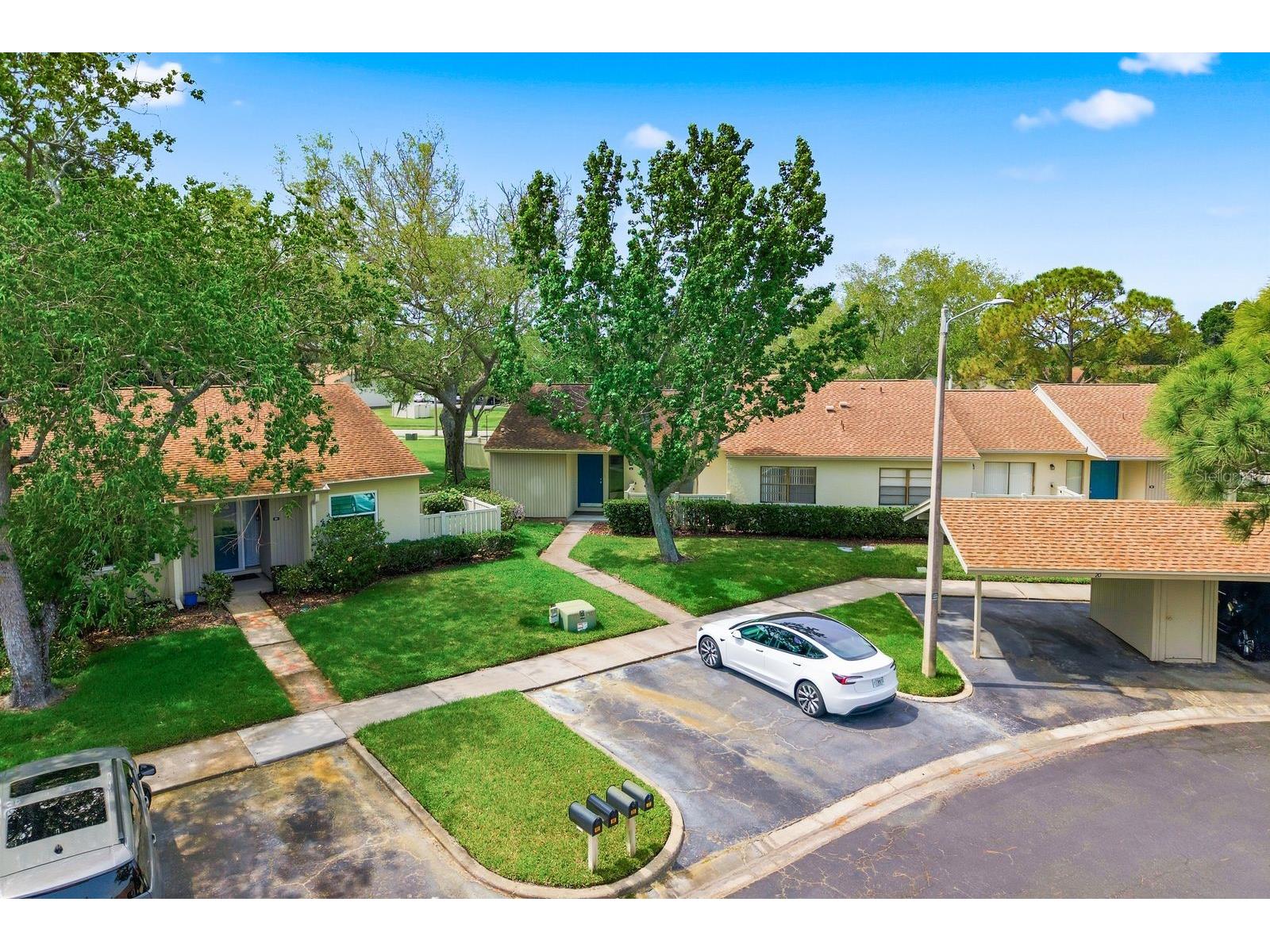 20 Evelyn Court Oldsmar FL 34677 TB8508719 image48