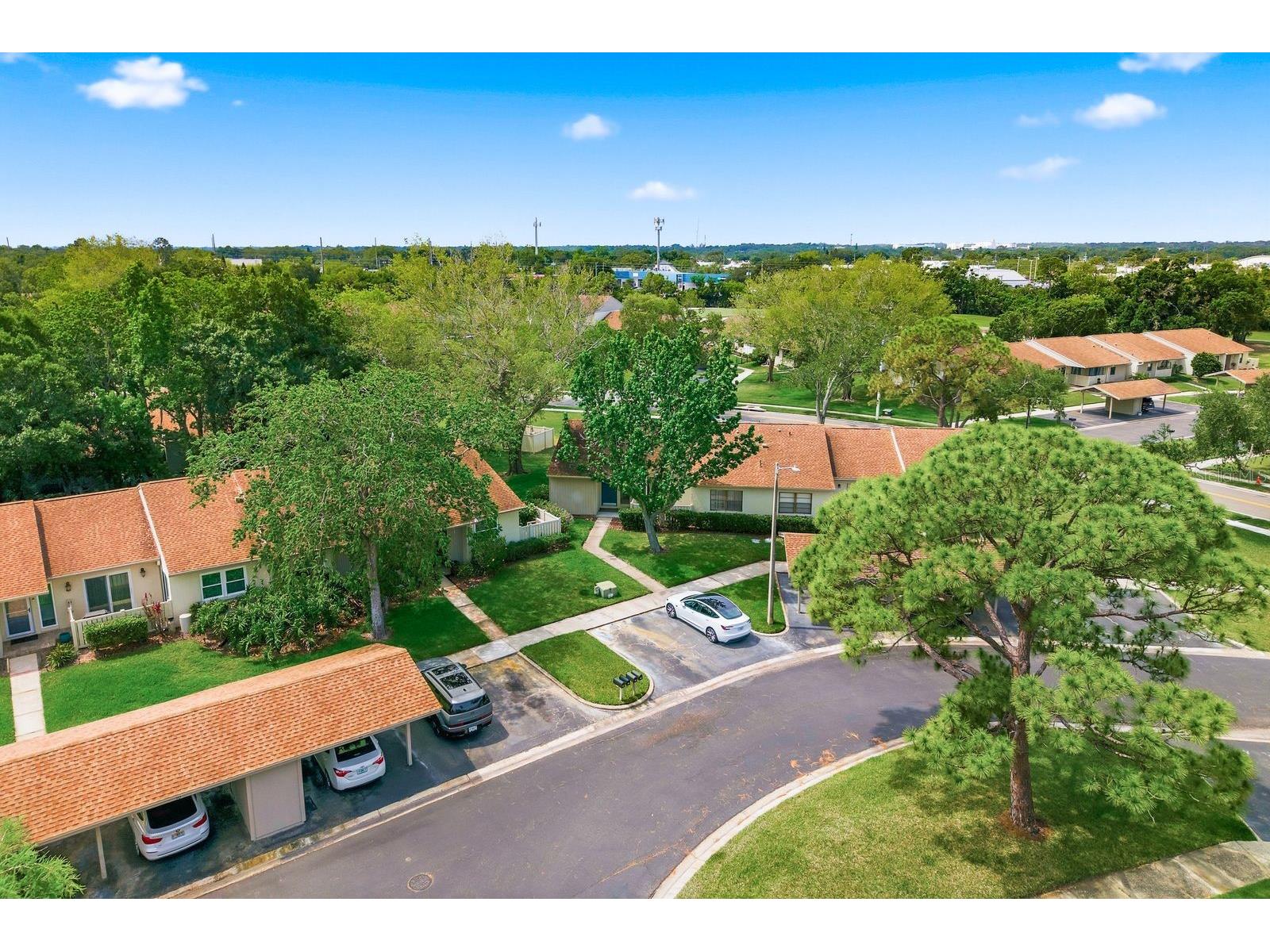 20 Evelyn Court Oldsmar FL 34677 TB8508719 image49