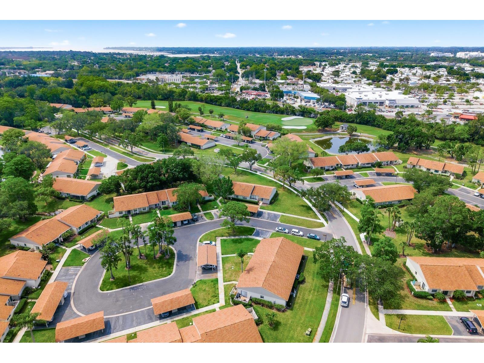 20 Evelyn Court Oldsmar FL 34677 TB8508719 image50