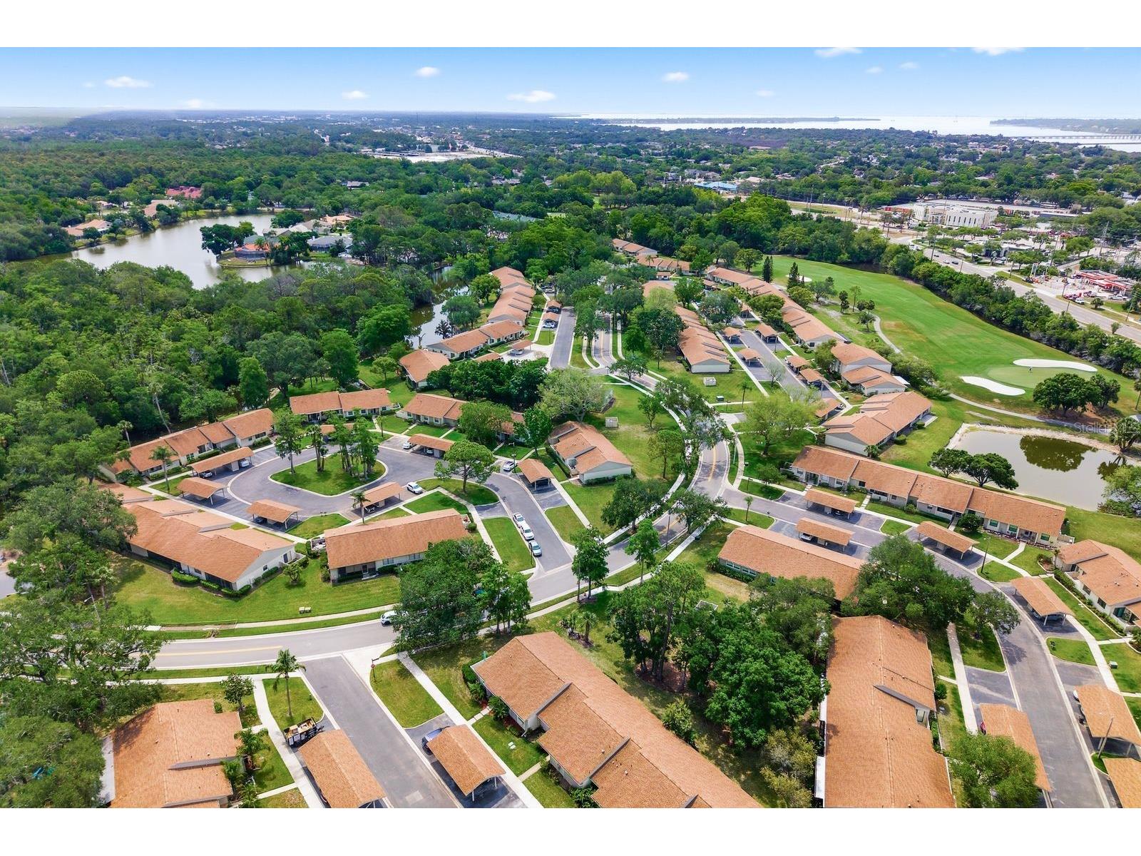 20 Evelyn Court Oldsmar FL 34677 TB8508719 image51