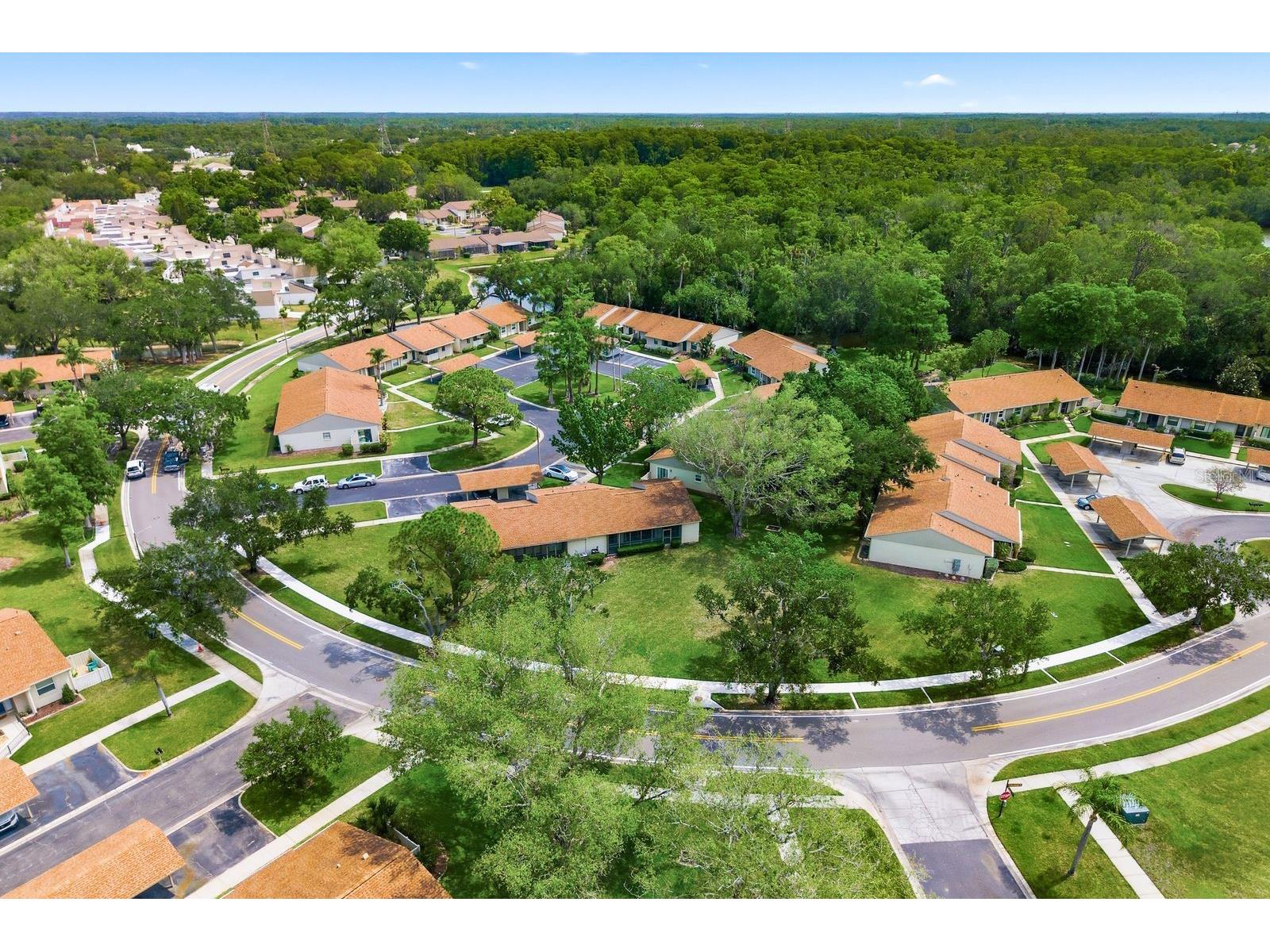 20 Evelyn Court Oldsmar FL 34677 TB8508719 image52