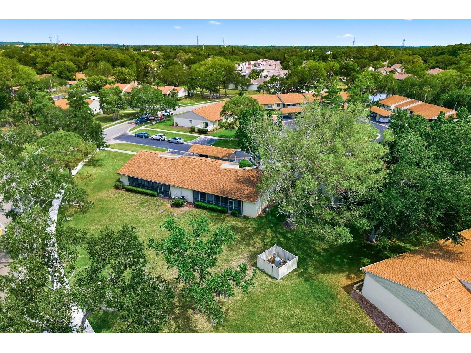 20 Evelyn Court Oldsmar FL 34677 TB8508719 image53