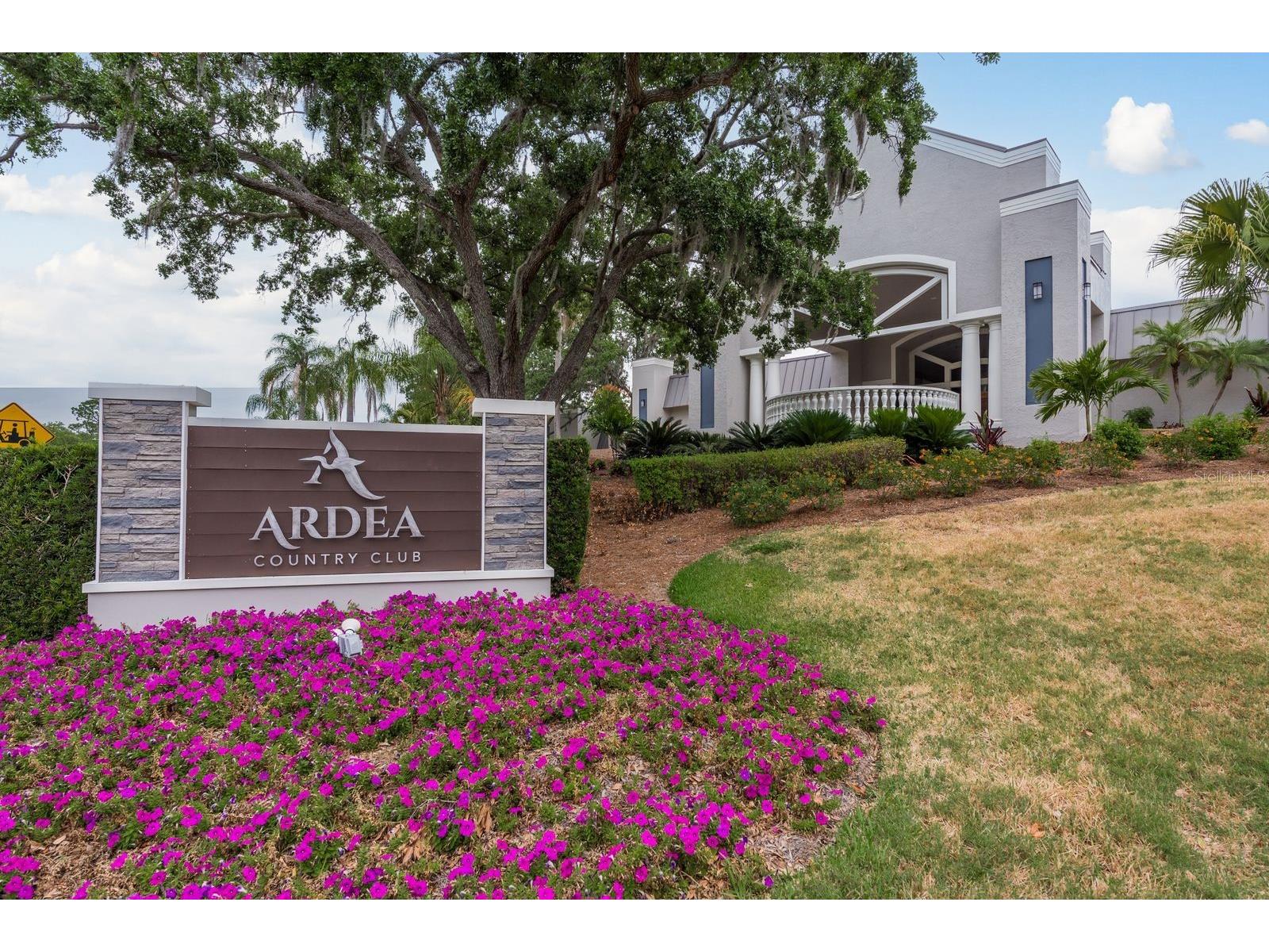20 Evelyn Court Oldsmar FL 34677 TB8508719 image54