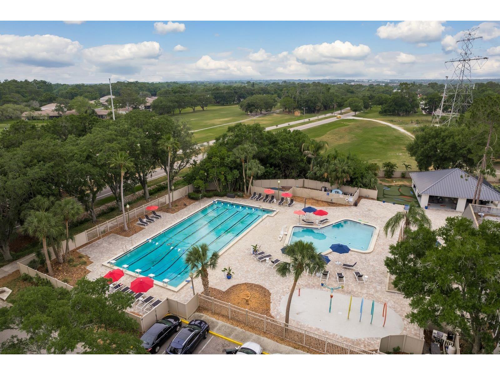 20 Evelyn Court Oldsmar FL 34677 TB8508719 image58