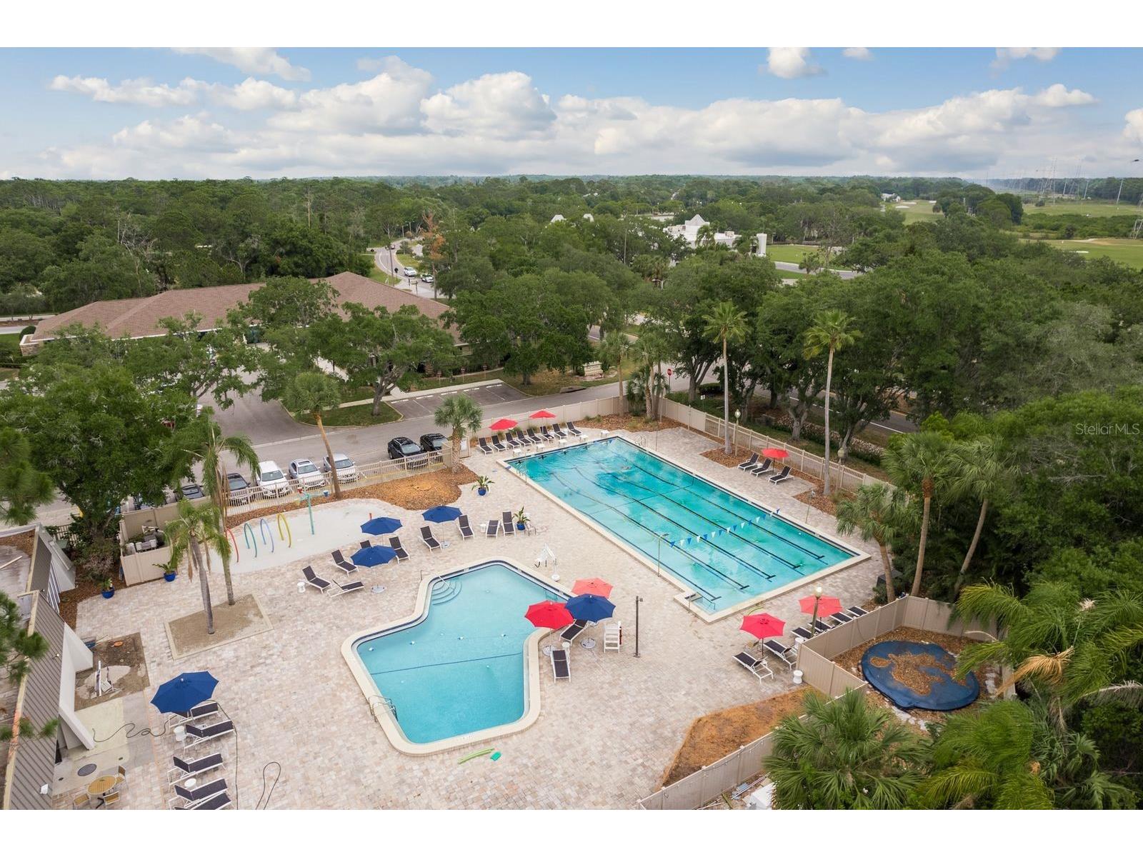 20 Evelyn Court Oldsmar FL 34677 TB8508719 image59