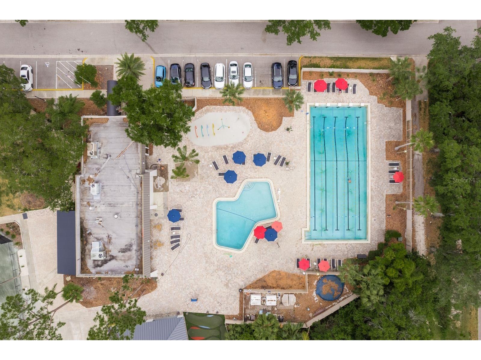 20 Evelyn Court Oldsmar FL 34677 TB8508719 image60