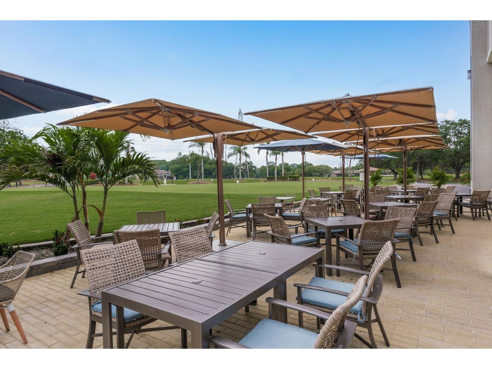 20 Evelyn Court Oldsmar FL 34677 TB8508719 image61