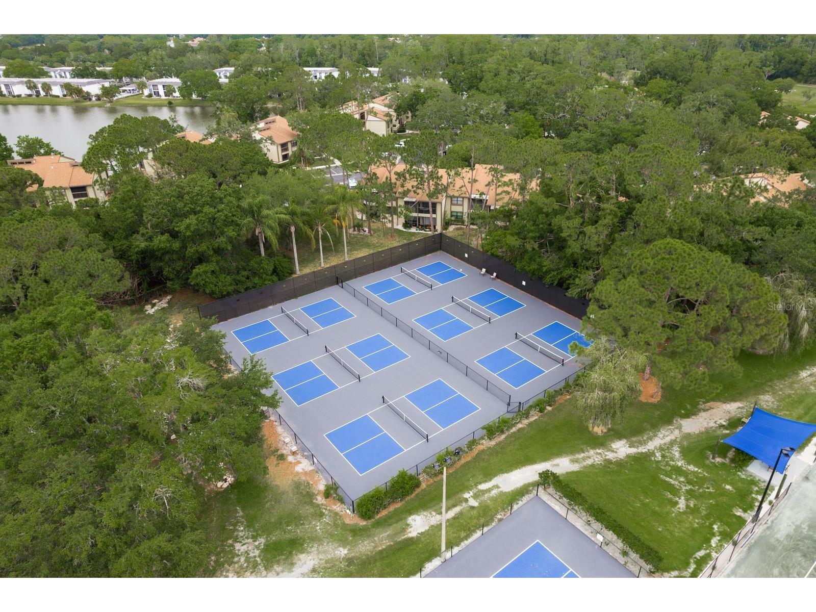 20 Evelyn Court Oldsmar FL 34677 TB8508719 image63