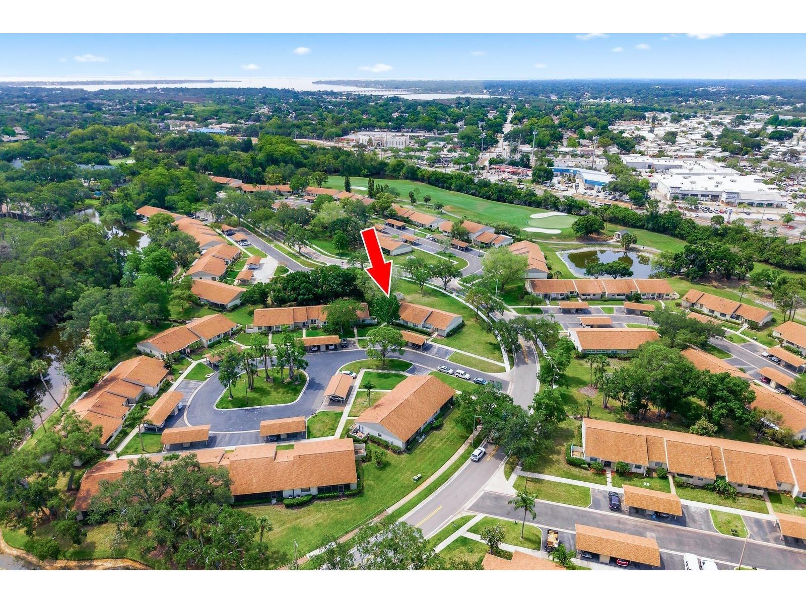 20 Evelyn Court Oldsmar FL 34677 TB8508719 image65