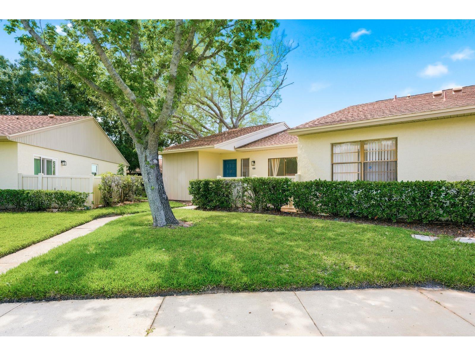 20 Evelyn Court Oldsmar FL 34677 TB8508719 image66