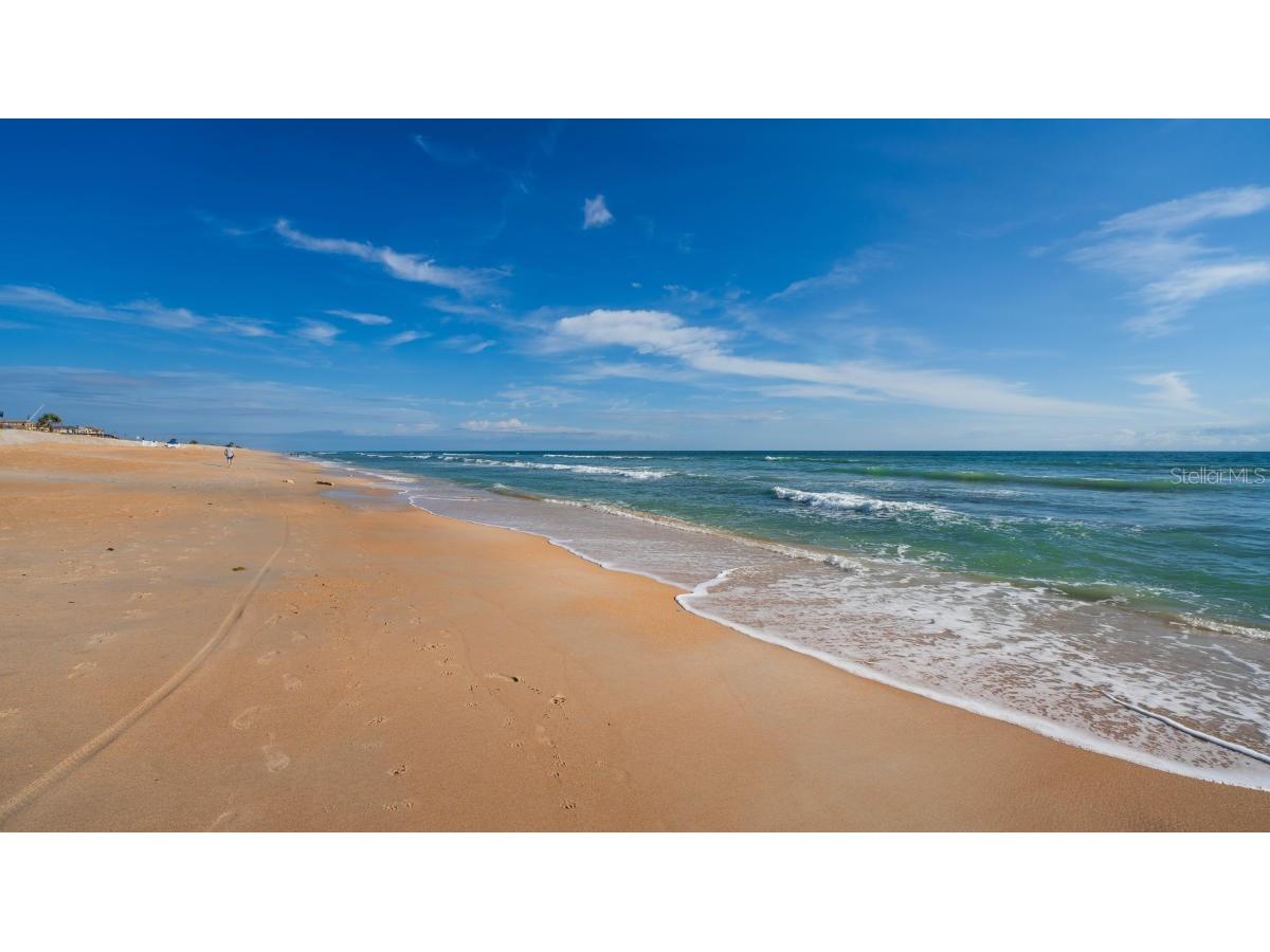 20 Los Lagos Palm Coast FL 32137 FC318875 image50