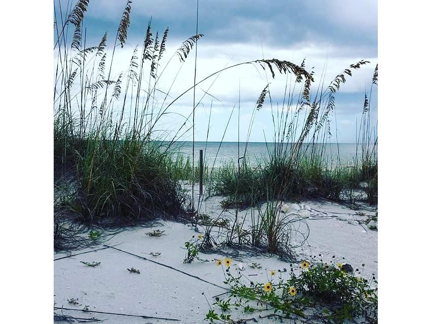 20 N Gulf Boulevard Placida FL 33946 D6143626 image58