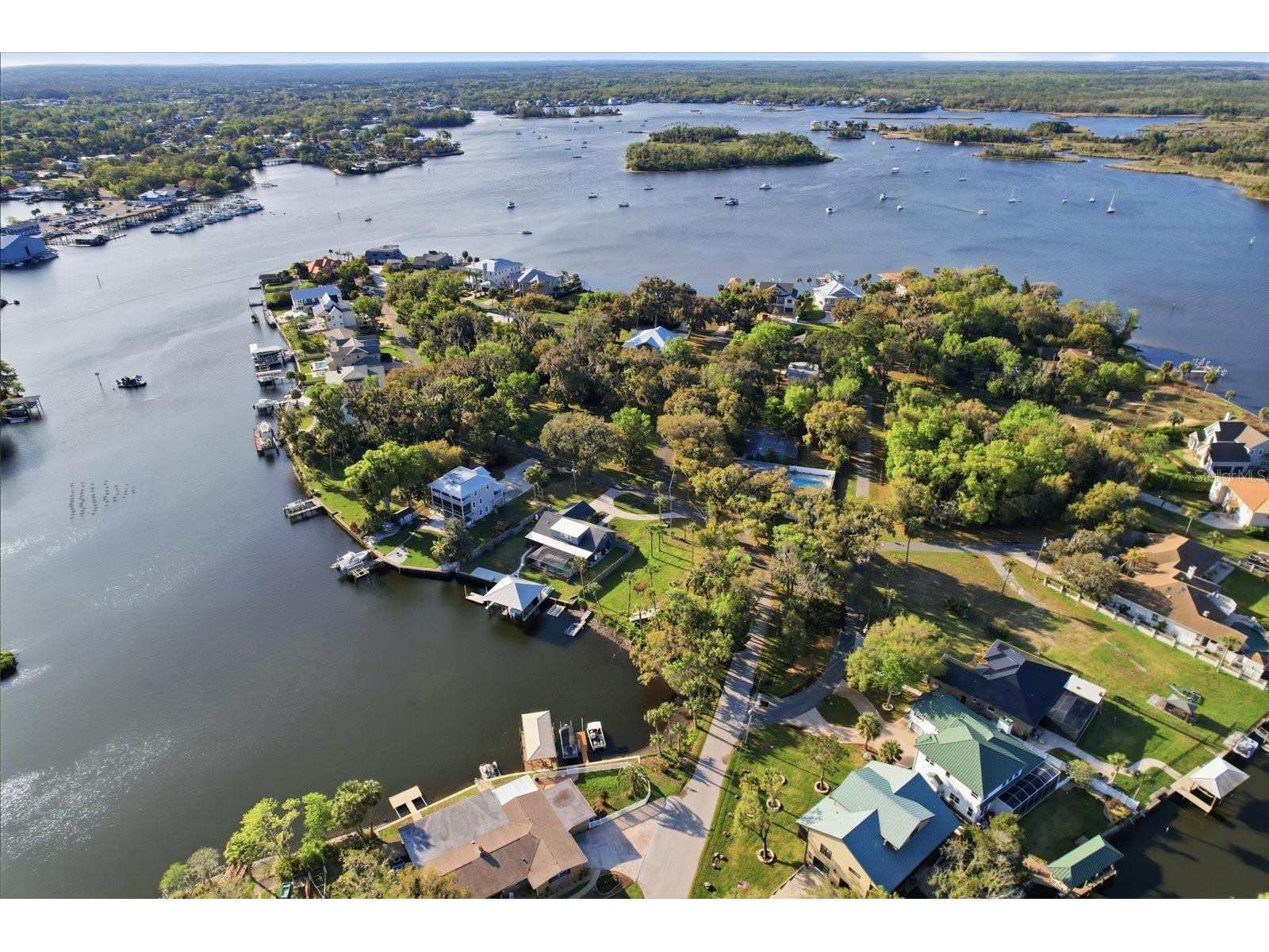 20 NW Magnolia Circle Crystal River FL 34428 - KINGS BAY O6391830 image3