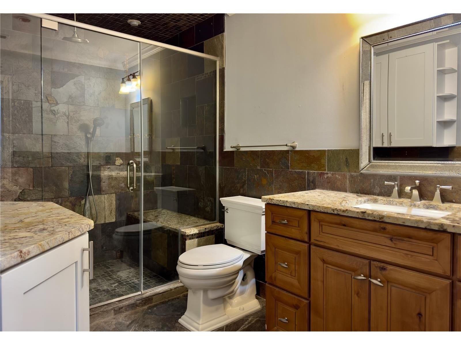 20 Oakdale Street Windermere FL 34786 - LAKE DOWN - BUTLER CHAIN O6421265 image26