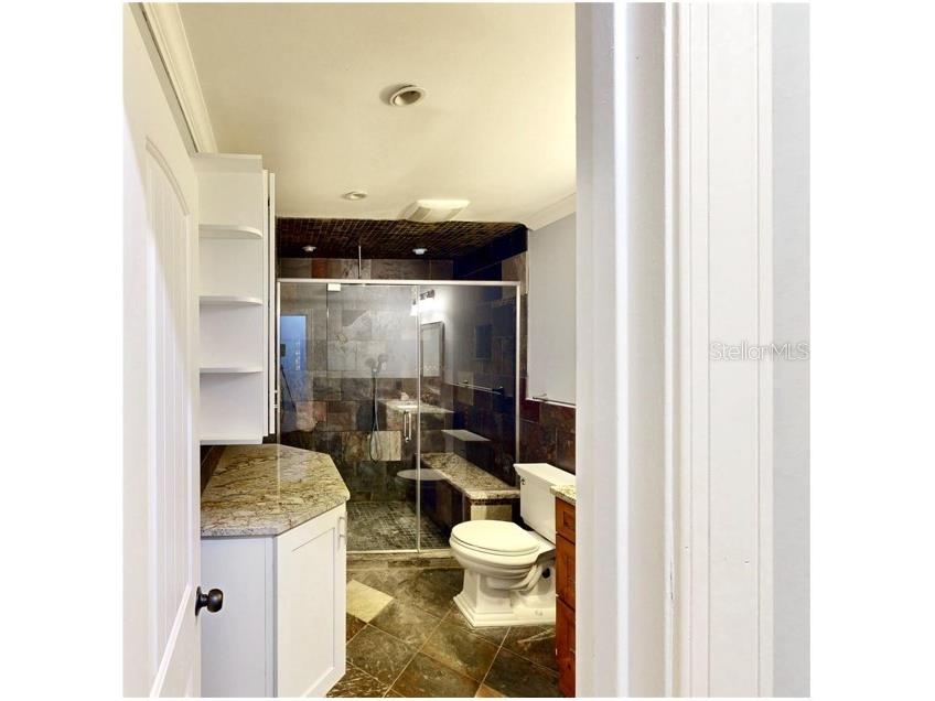 20 Oakdale Street Windermere FL 34786 - LAKE DOWN - BUTLER CHAIN O6421265 image27