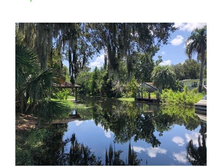 20 Oakdale Street Windermere FL 34786 - LAKE DOWN - BUTLER CHAIN O6421265 image4