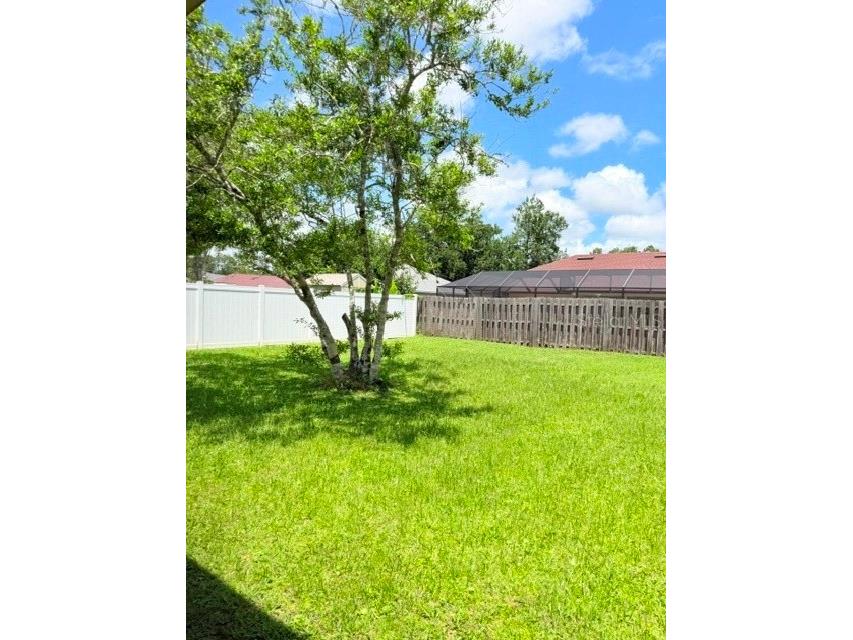 20 Palm Lane Palm Coast FL 32164 FC319719 image17