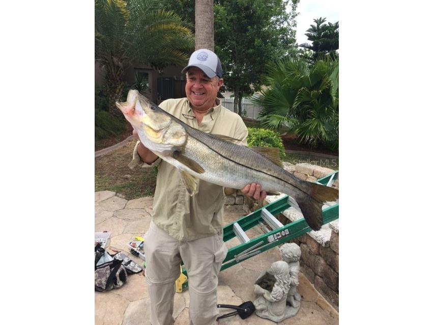 20 Pinehurst Place Rotonda West FL 33947 D6143342 image22