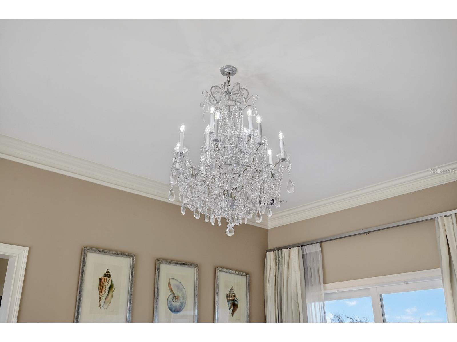 20 Rue Grande Mer Palm Coast FL 32137 FC317005 image25